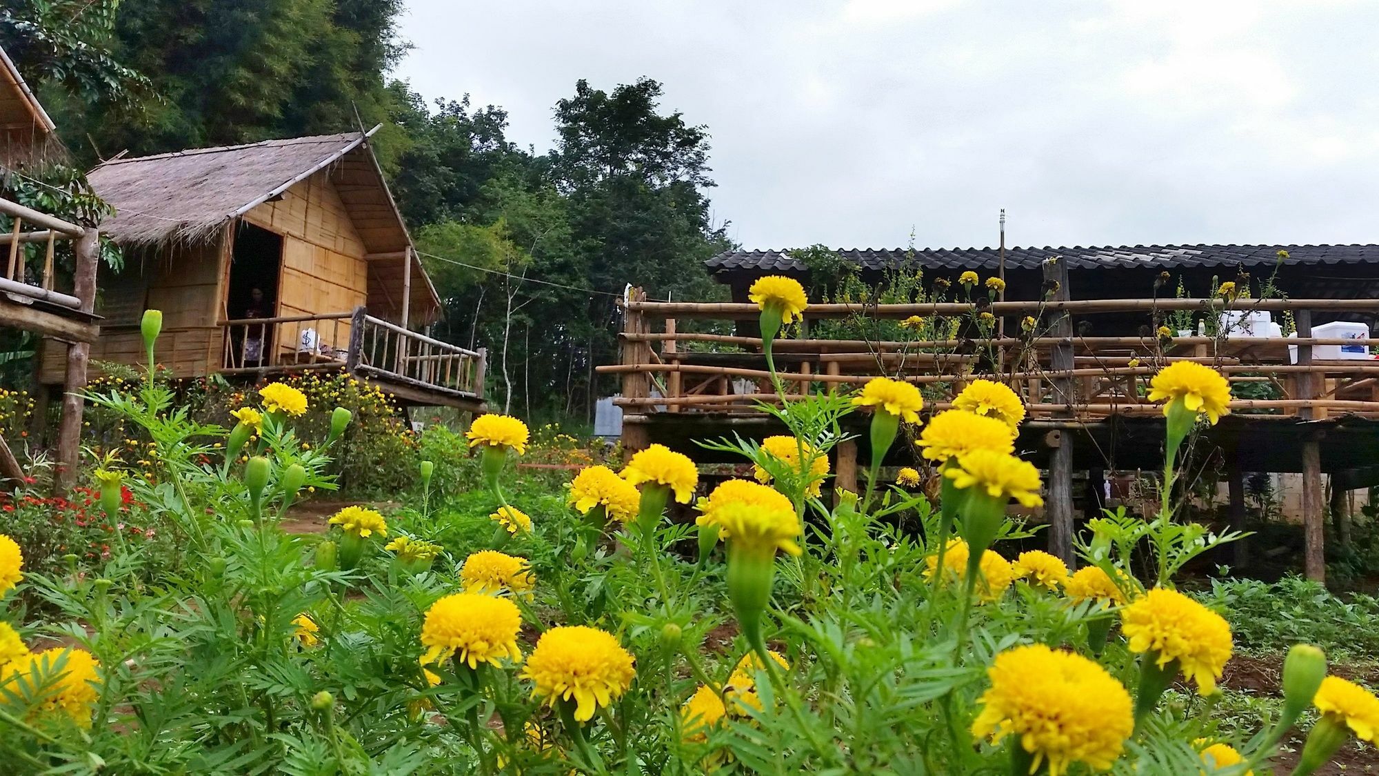 Baan Aingdoi Homestay, Chiang Dao Exterior foto