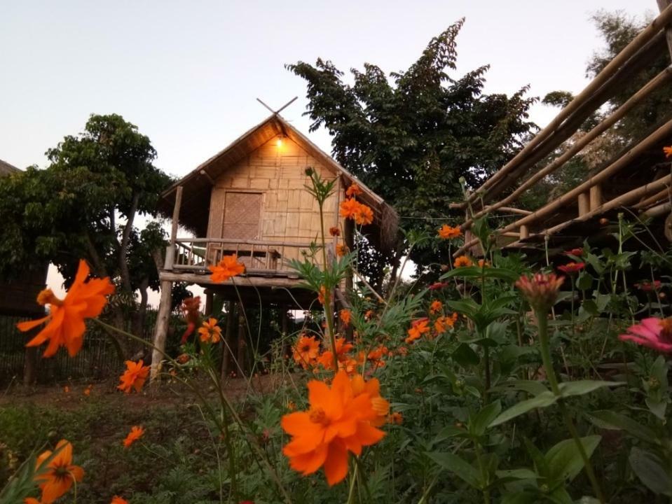Baan Aingdoi Homestay, Chiang Dao Exterior foto